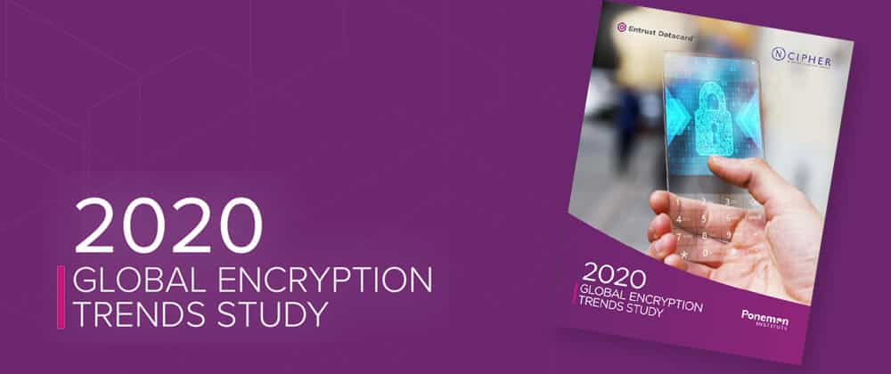 thumbnail of the global encryption study