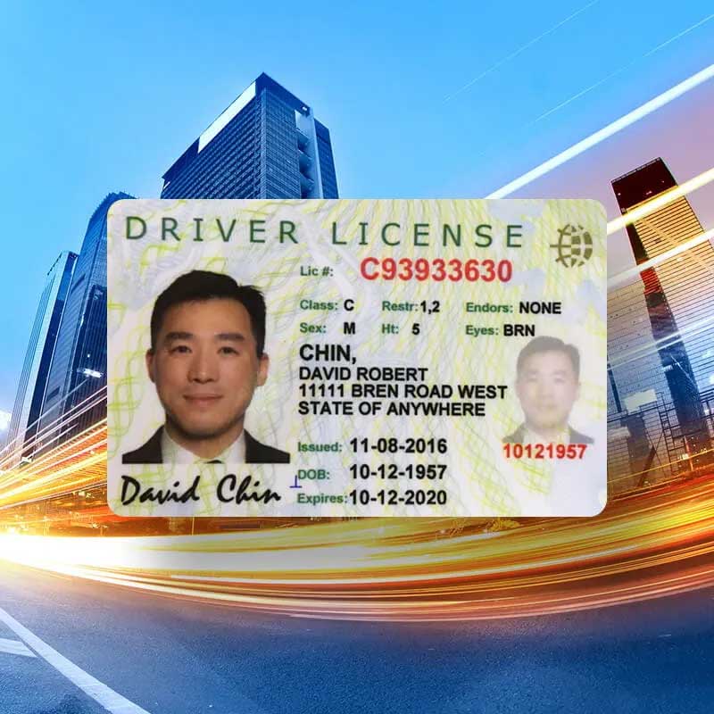 driver's license example